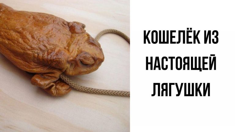 Для кого вообще всё это? 20 очень странных вещей, сделанных своими руками