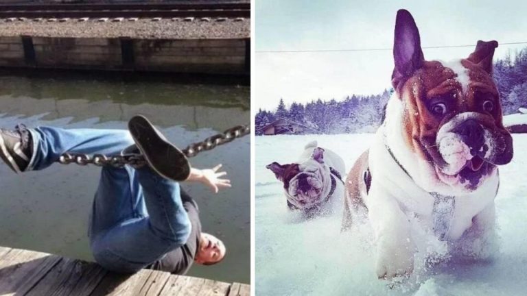 25 фотографий, сделанных в идеальный момент для того, чтобы вы посмеялись