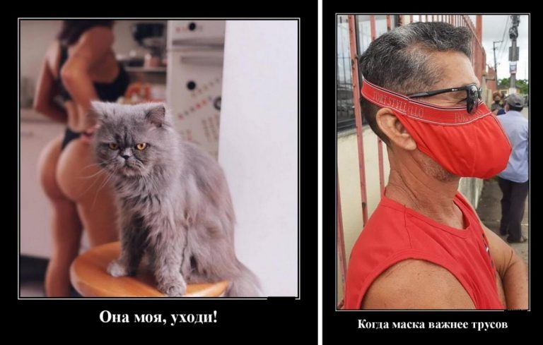 Демотиваторы пятничные и котик не дурак