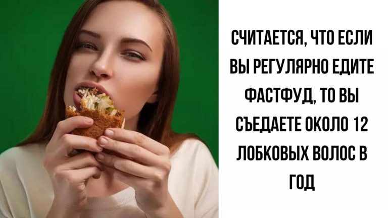 20 «неадекватных» фактов, которые вы точно нигде не прочитаете