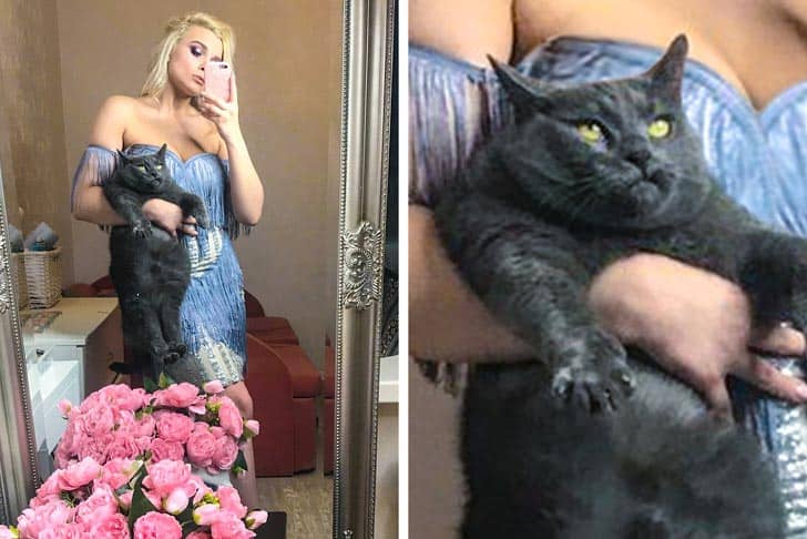 25 нефотогеничных животных глядя на которых не сдержать улыбку
