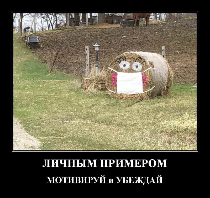 Демотиваторы за сегодня и личный пример