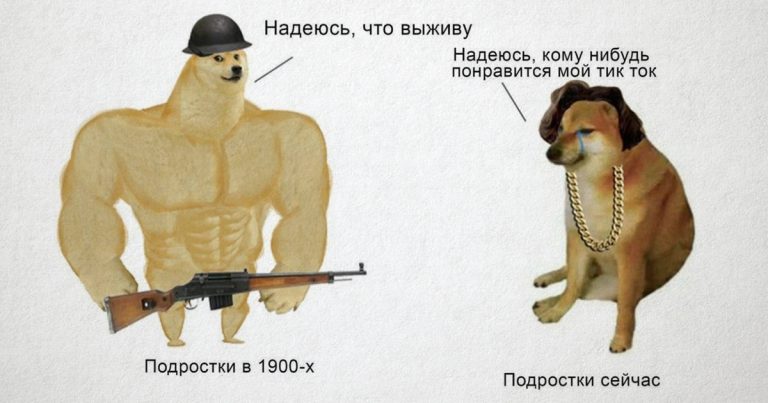 Новый мем с двумя собачками показывает нам разницу поколений.