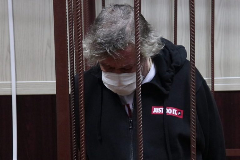 Михаил Ефремов получил 50 штрафов за нарушения ПДД за год
