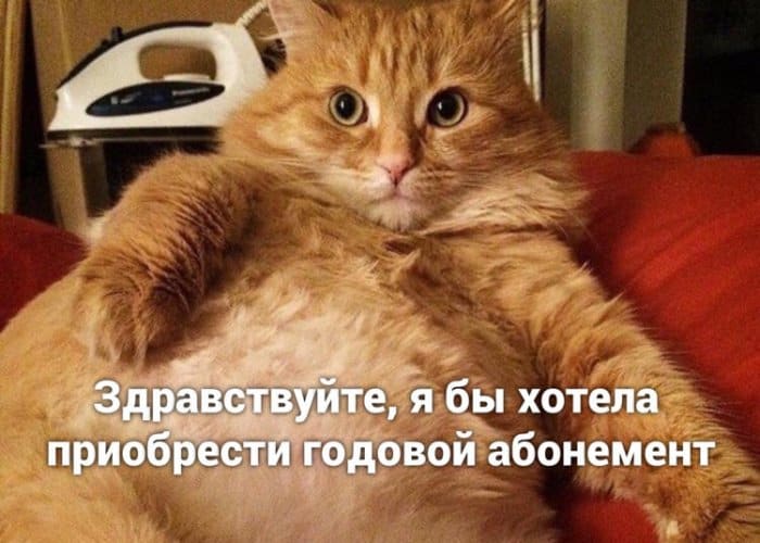 Мытье рук, похудение и вирус: о чем шутят в сети сегодня
