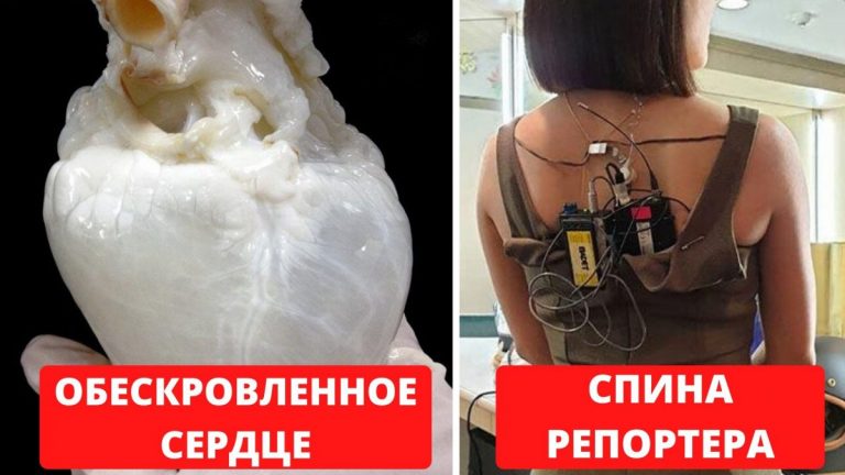 Мир не перестает нас удивлять: 28 редких и удивительных кадров