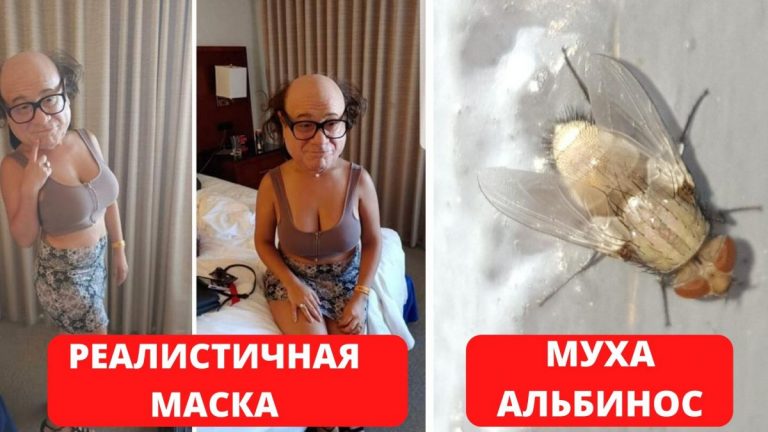 Фото редких вещей, которые вы скорее всего не видели, но сейчас мы это исправим