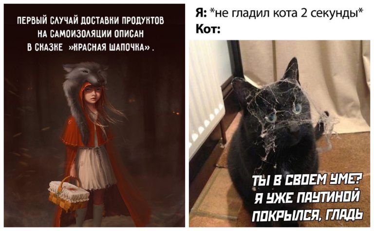 Основной инстинкт на карантине и другие шутки и мемы из соцсетей