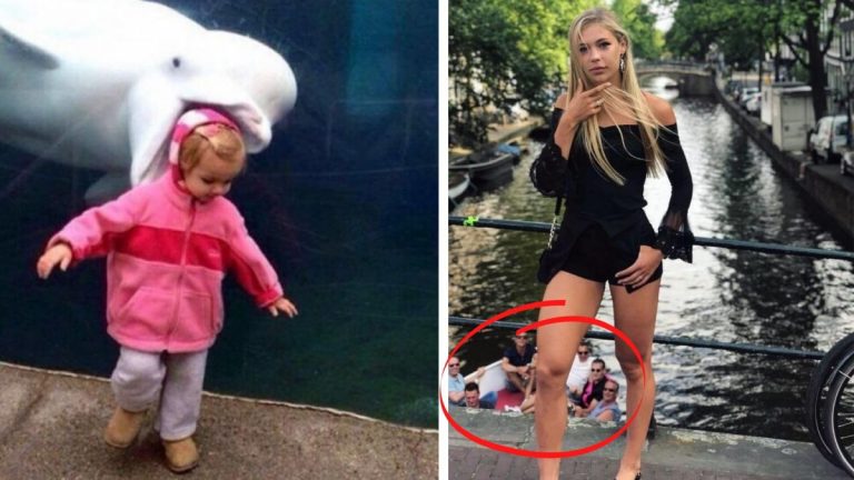 20 фотобомб, которые могли испортить фотографии, но сделали их только лучше