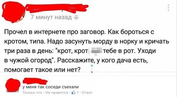 Смешные комментарии к постам из интернета и как побороть крота