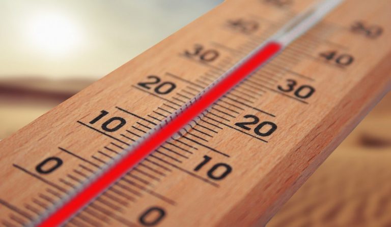 Погода на пятницу: температура до 31 градуса
