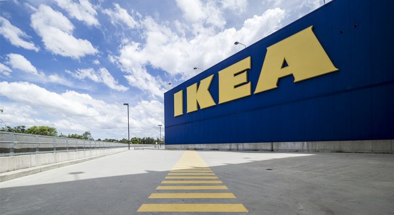 Британские экологи: IKEA незаконно рубят деревья в Украине
