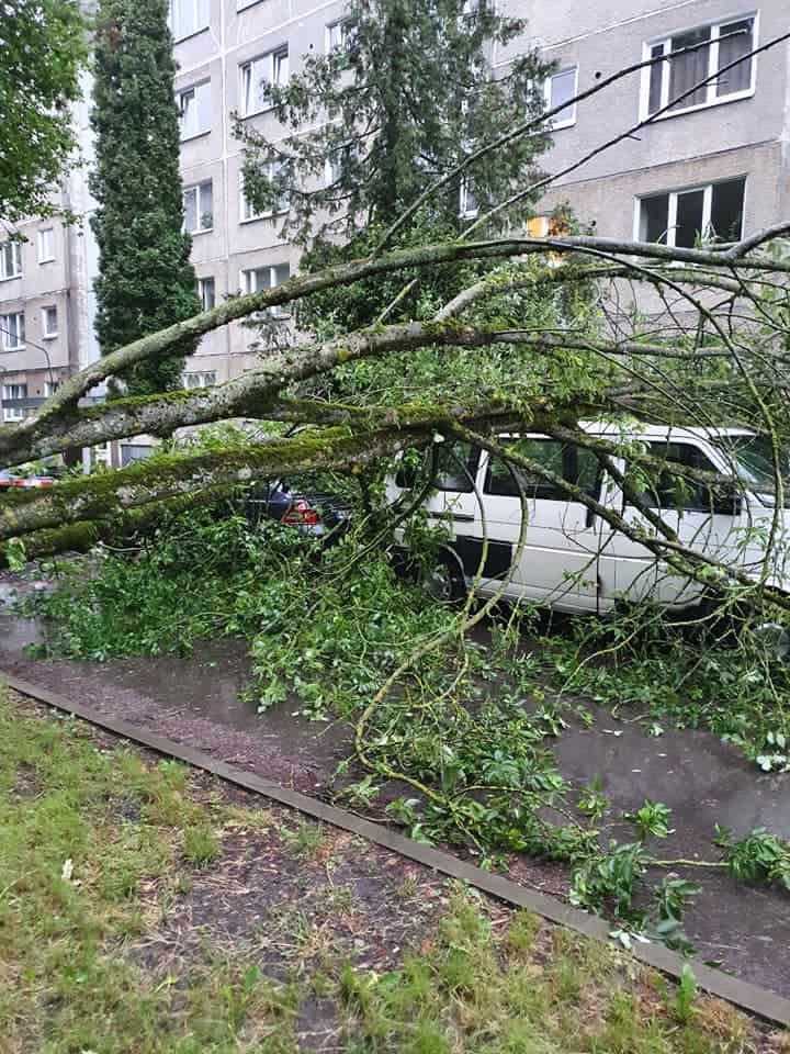 ФОТО и ВИДЕО: из-за сломанных ветром веток повреждены шесть машин, улицы по-прежнему затоплены