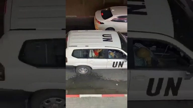 Скандальное видео с сотрудниками ООН, любящими друг друга в машине , попало в интернет