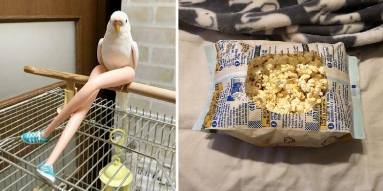 15 людей, глядя на которых сразу не поймешь, то ли они дураки, то ли гении