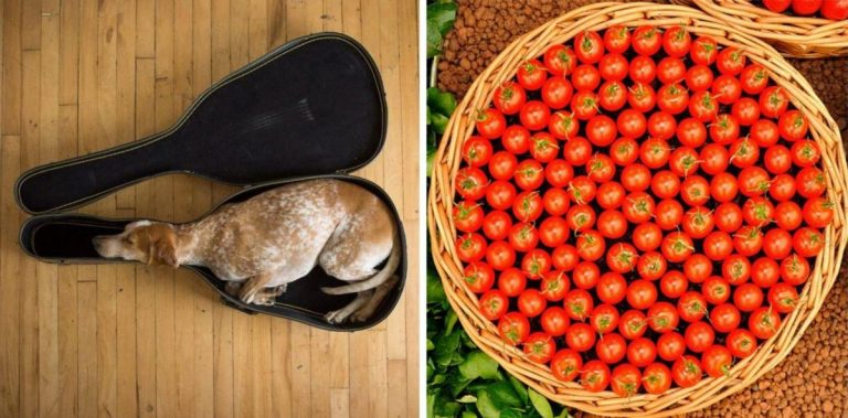 Идеальность как она есть: 25 фотографий, которые согреют душу любому перфекционисту