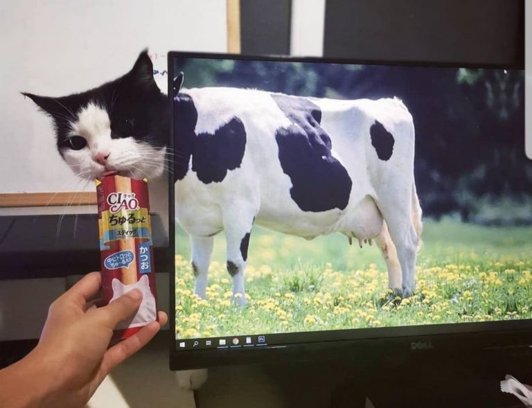 25 фотографий без фотошопа, глядя на которые верится в это с трудом