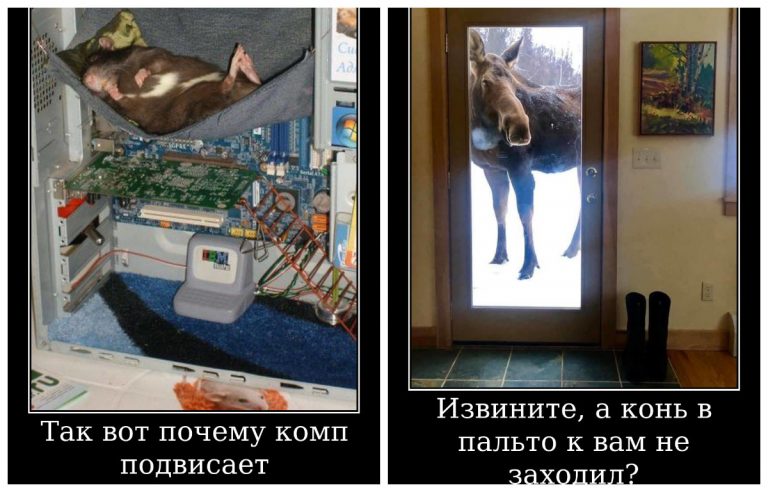 Самые свежие и смешные демотиваторы субботы!
