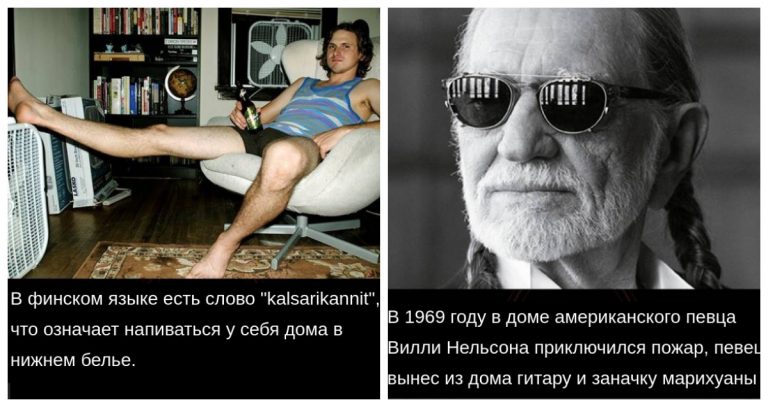Подборка удивительных и бесполезных фактов, которая вас развлечет