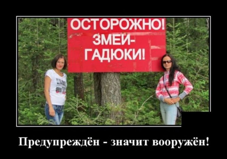 Демотиваторы в воскресение и змеи — гадюки!