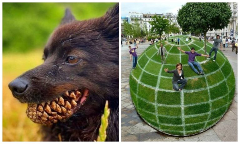 18 фото, на которые придется посмотреть дважды