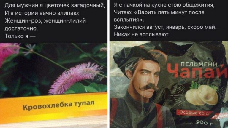 Рифмы из социальных сетей и кровохлебка тупая