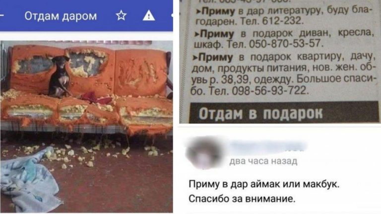 Наглость — второе счастье или рубрика «Приму даром так и быть»
