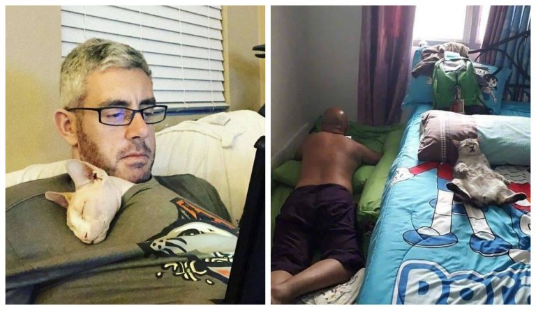 «В  моем доме животных не будет!» 20 строгих папаш, поменявших свои убеждения