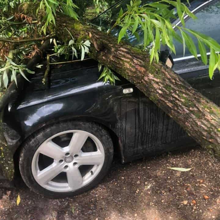 ФОТО: в Плявниеках на Audi упало дерево 