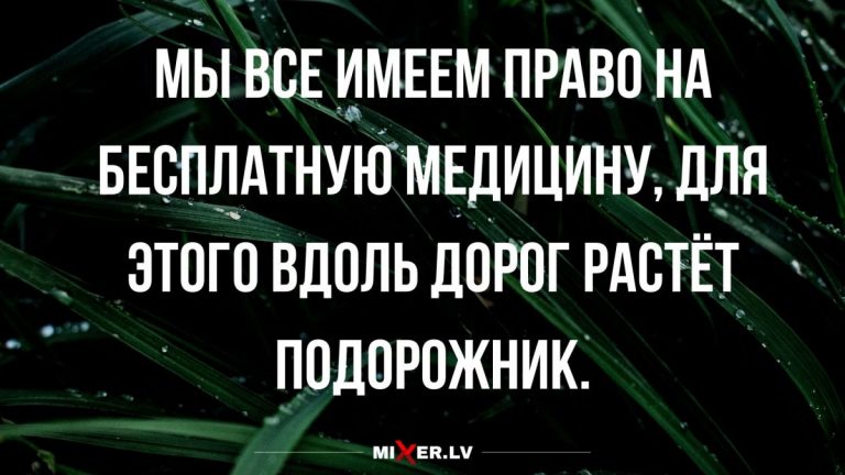 Юмор за день и зачем вдоль дорог растёт подорожник
