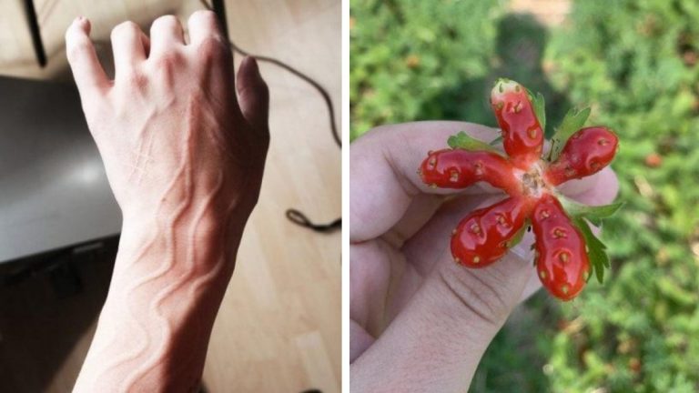 Интересные и невиданные штуковины, которые круче любого фотошопа