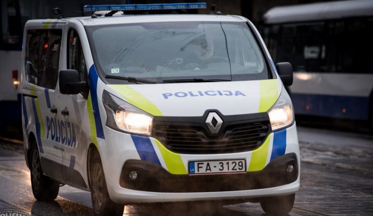 В Пардаугаве задержаны восемь человек, среди них подозреваемая в убийстве и вор