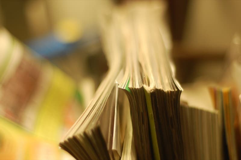 Mediju eksperte Gunta Līdaka: Mums vajag stiprināt mediju kritiku