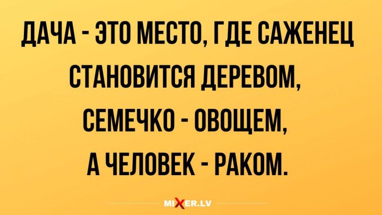 Лучшие анекдоты за день и дачники