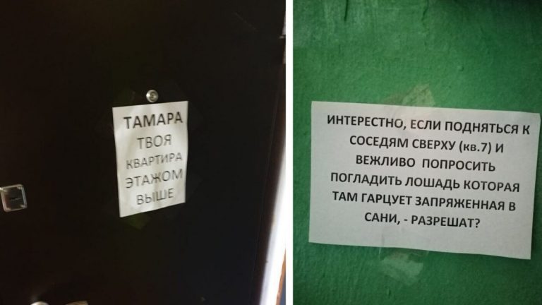 Соседи как отдельная форма жизни: 12 примеров