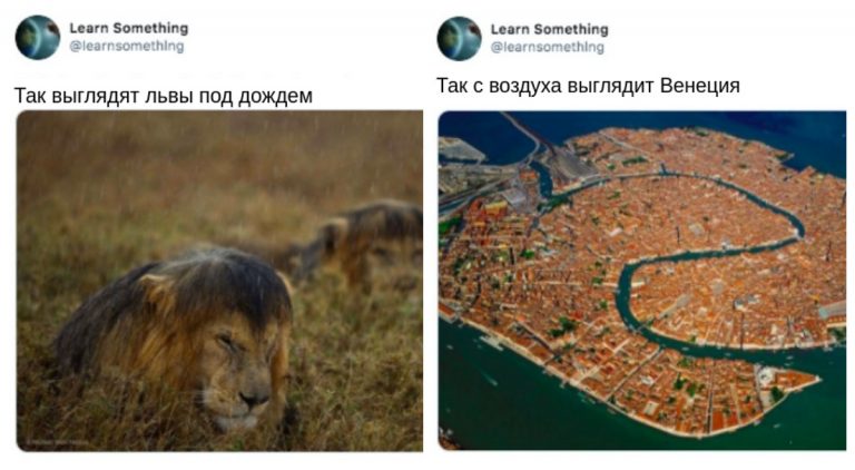 20 поражающих воображение фотографий из серии «Так выглядит…»