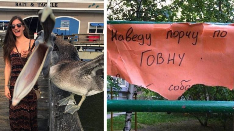 Немного прикольных картинок. Чтоб не скучали