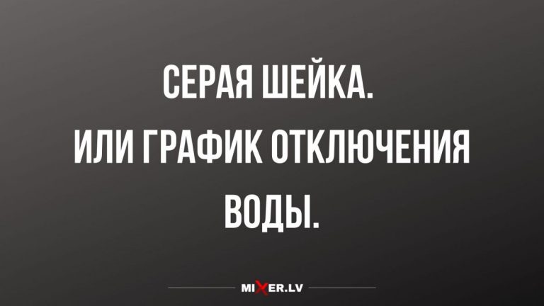 Юмор за день и Серая шейка