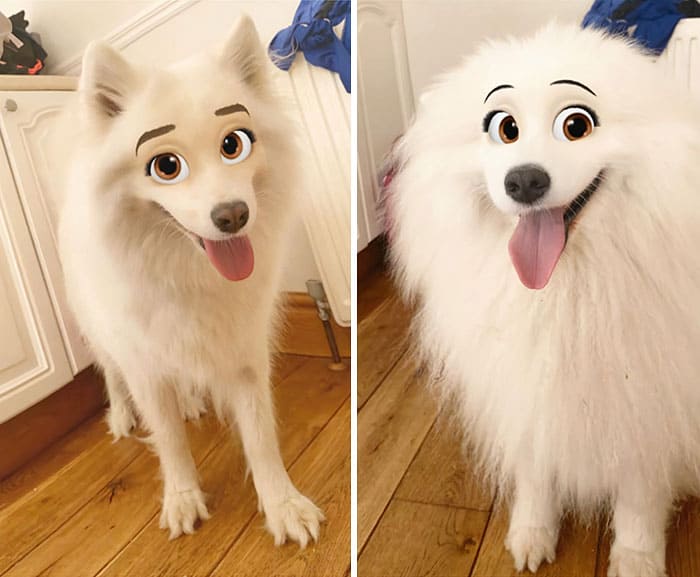 Этот Новый фильтр Snapchat делает вашу собаку похожей на диснеевского персонажа