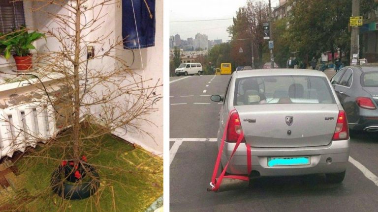 Не судите ленивых строго — они ничего не сделали. Фотографии о настоящей лени