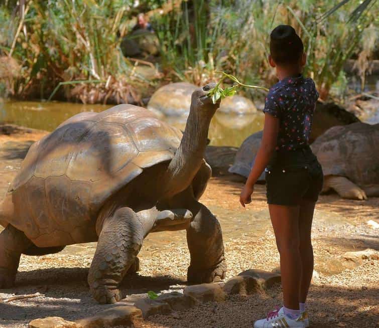 20 фото, которые поставят в тупик любого кто думал, что его уже ничем не удивить