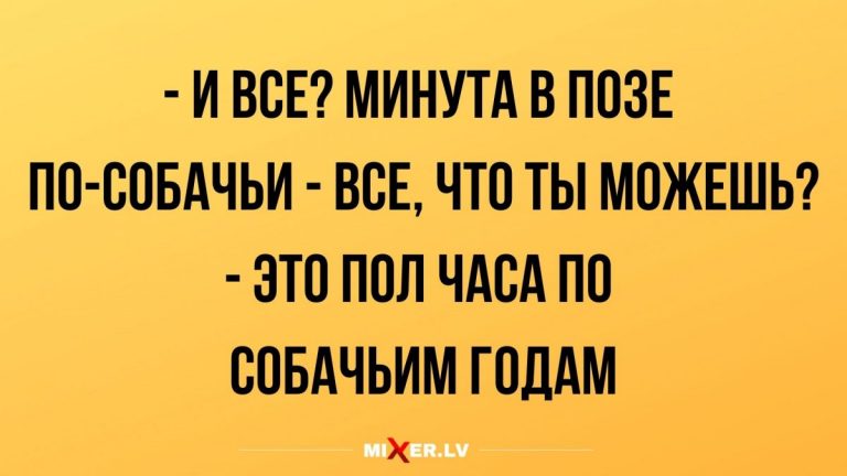 Юмор за день и пол часа по собачьим годам