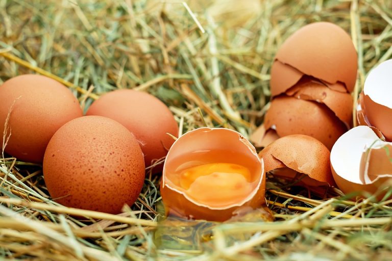 Финские ученые определили, какие продукты борются с похмельем