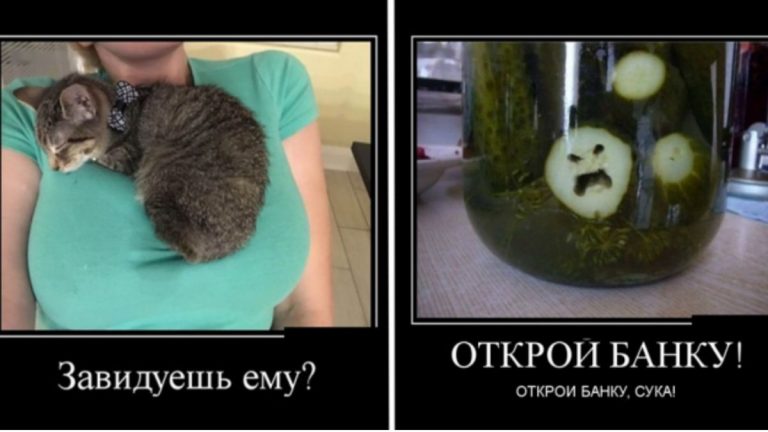 Крутые демотиваторы заряженные позитивом на выходные