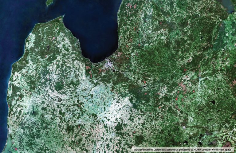 «Сначала я тоже смотрела на это скептически»: Шуплинска о космической индустрии в Латвии