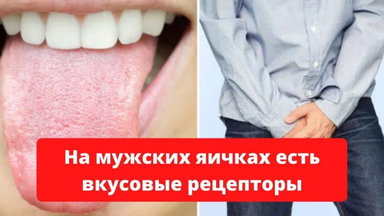 Интересные факты, узнав которые, можно почувствовать, что вы ничего не знаете