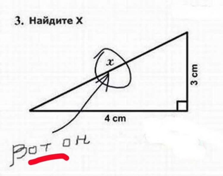 Улетные перлы и приколы от наших школьников!
