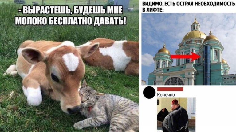 Уморительные комментарии, которыми зачитываешься как увлекательным романом