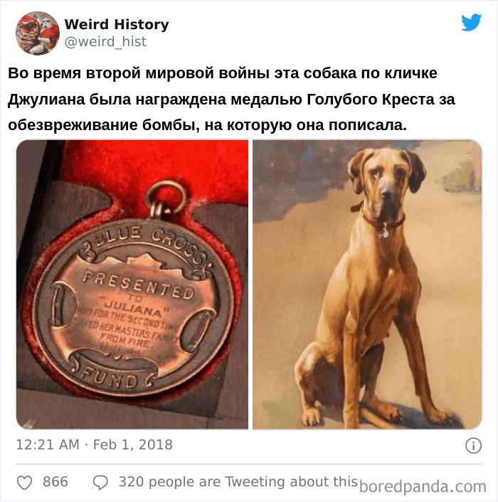 «Странная история»: 20 самых поразительных и парадоксальных фактов, которые вас удивят