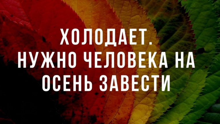 Юмор за день и осенние похолодание